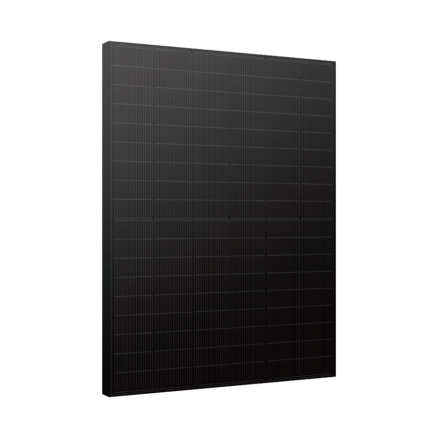 Bifacial Dual Glass Mono Black Module