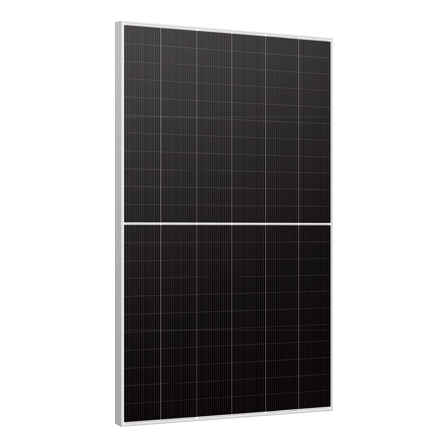 Monomódulo bifacial de doble vidrio