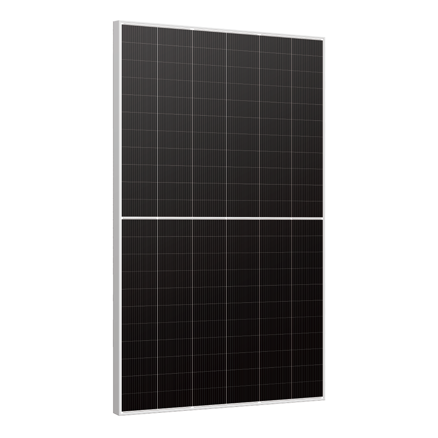 Bifacial Dual Glass Mono Module