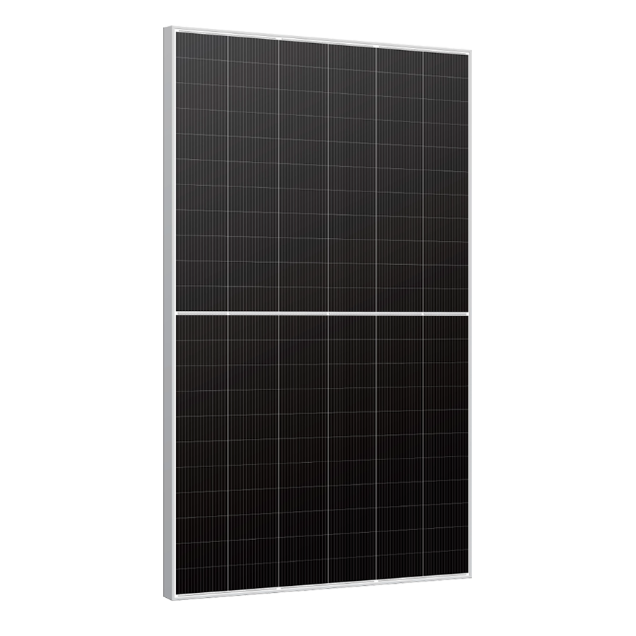 Bifacial Double Glass Mono Module